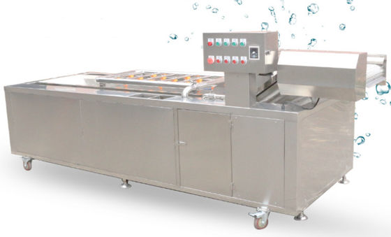 equipamento vegetal da lavagem da corrente da rede da transmissão da maquinaria da transformação de produtos alimentares 1500Kg/h