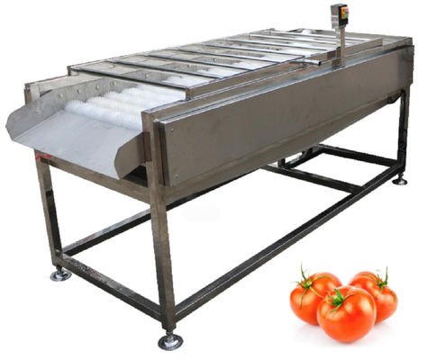 equipamento de fábrica de tratamento do alimento 500kg/h, arruela vegetal da escova do fruto