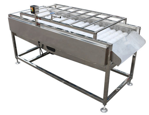 equipamento de fábrica de tratamento do alimento 500kg/h, arruela vegetal da escova do fruto