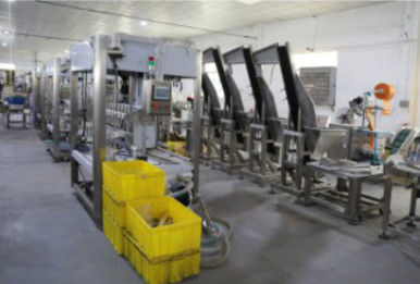Máquina tampando do engarrafamento 20KW, máquina de envolvimento automática do psiquiatra 1.2T
