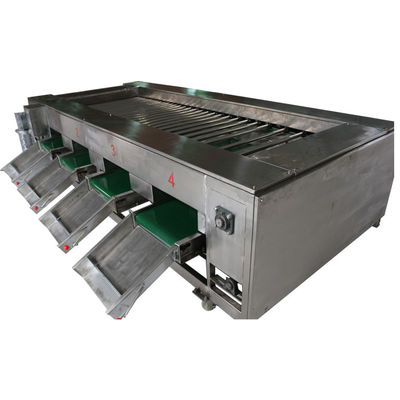 maquinaria da transformação de produtos alimentares 2000kg/h, fruto vegetal que classifica o equipamento