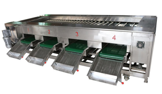 maquinaria da transformação de produtos alimentares 2000kg/h, fruto vegetal que classifica o equipamento