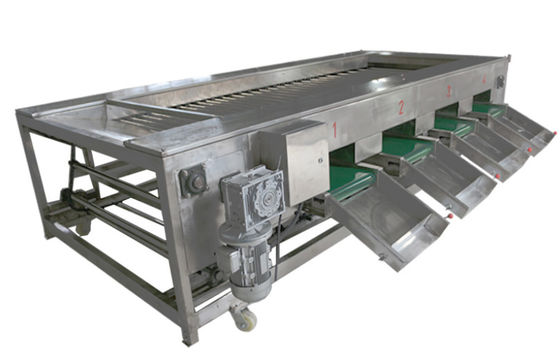 maquinaria da transformação de produtos alimentares 2000kg/h, fruto vegetal que classifica o equipamento